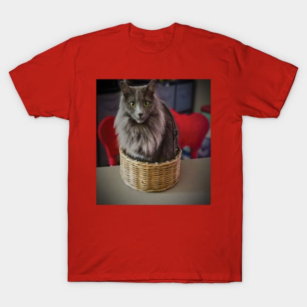 Grey green eyed cat in a basket T-Shirt by PandLCreations